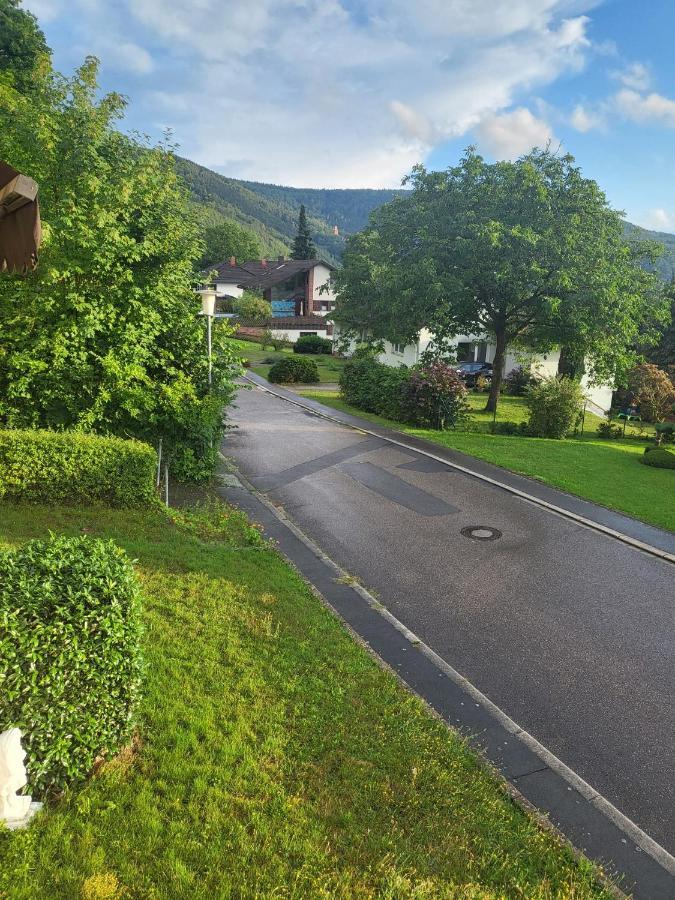 Ferienwohnung Freudenberg Freudenberg am Main Екстер'єр фото